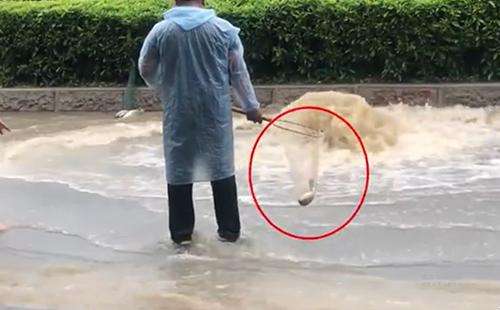 輸送帶廠家：廣州雨后內(nèi)澇嚴(yán)重，路人當(dāng)街捕魚