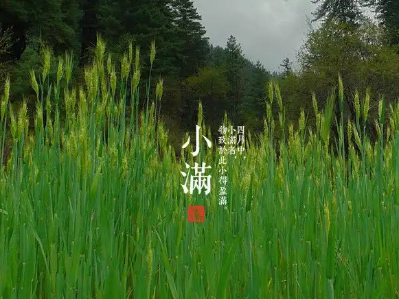 今日小滿，擎川與你一起靜待美滿！